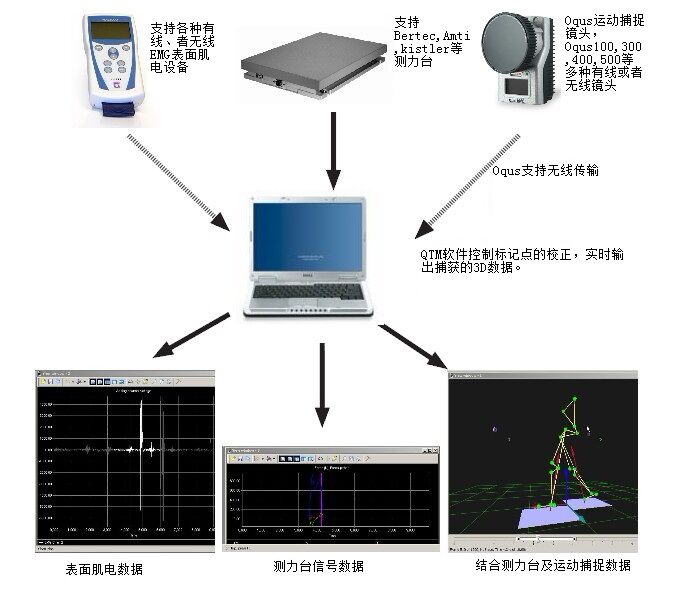 視覺(jué)驅(qū)動(dòng)的步態(tài)診斷 揭秘VISUAL3D運(yùn)動(dòng)捕捉技術(shù)的臨床價(jià)值與網(wǎng)絡(luò)技術(shù)服務(wù)的融合
